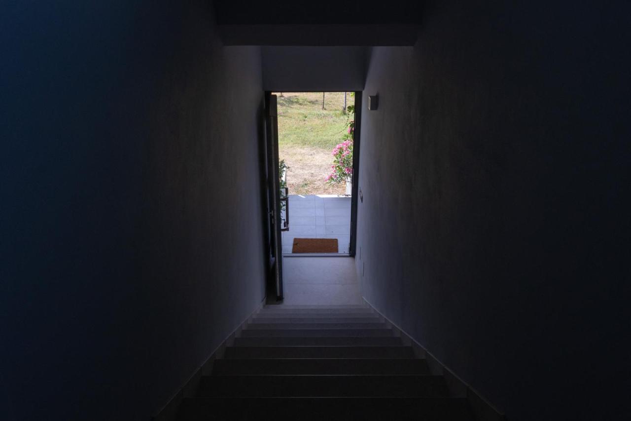 Al Settimo Miglio, Alloggio Agrituristico Villa Treppo Grande Екстериор снимка